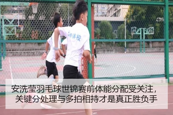 an-xi-ying-yu-mao-qiu-shi-jin-sai-qian-ti-neng-fen-pei-shou-guan-zhu-guan-jian-fen-chu-li-yu-duo-pai-xiang-chi-cai-shi-2-895.jpg